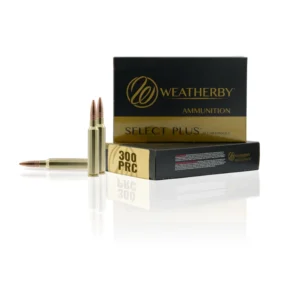 300 weatherby magnum