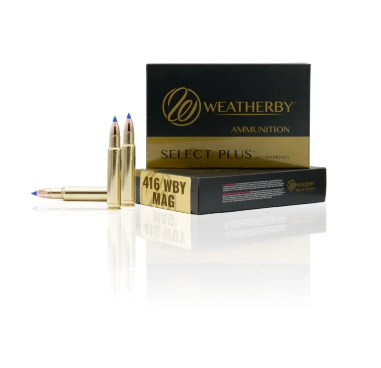 300 weatherby magnum